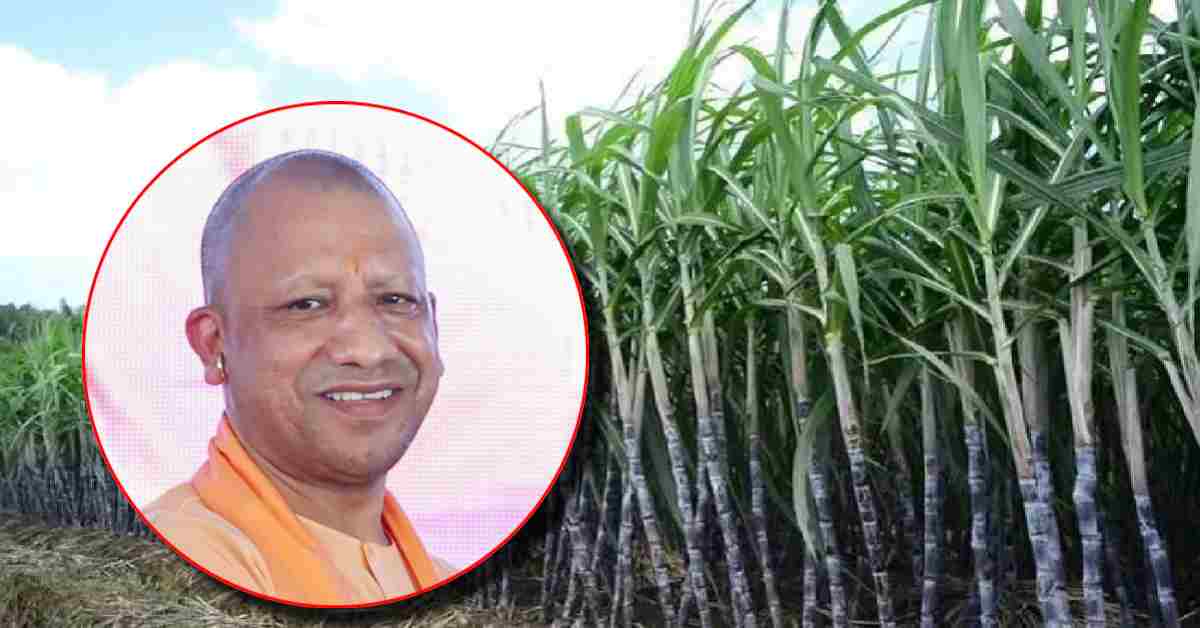 योगी सरकार के तोहफे से किसानों में उत्साह, प्रदेश की 21 चीनी मिलों ने शुरू किया गन्ना पेराई कार्य