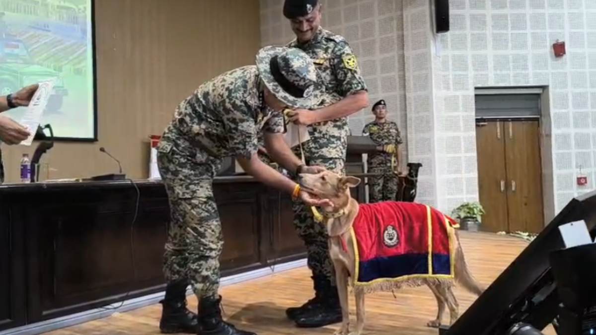 विदेशी नहीं बल्कि देसी श्वान करेंगे भारतीय सीमा की सुरक्षा: MP में ले रहे ट्रेनिंग, PM मोदी के सामने प्रदर्शन करने वाले डॉग्स हुए सम्मानित